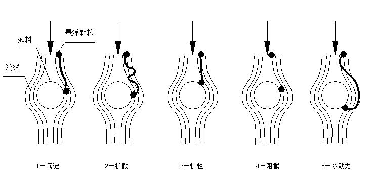 颗粒滤料的迁移机理