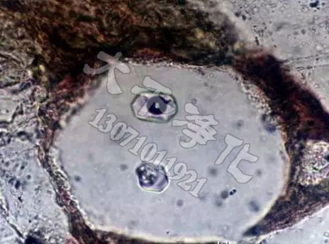 含气液包裹体的单晶石英(放大200倍) 含气液包裹体的单晶石英(放大200倍)