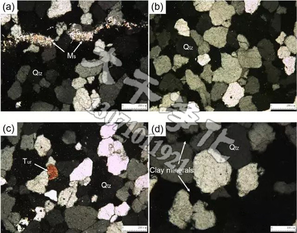 Qta-石英，Ms-白云母，Tur-电气石