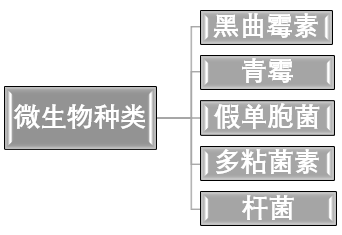 石英砂微生物浸出提纯工艺